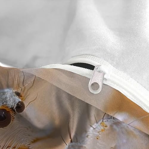 Housse de couette araignée imprimé 3D taies d'oreiller microfibre