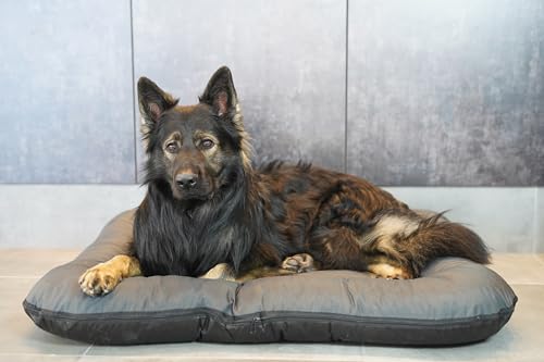 4L Textil KLEO Hundebett mittelgrosse Hunde waschbar Hundekissen mittelgrosse Hunde Hundematte Hundematratze Hundekissen XXL (M-90x70 cm, Graphit(Mit Reißverschluss))