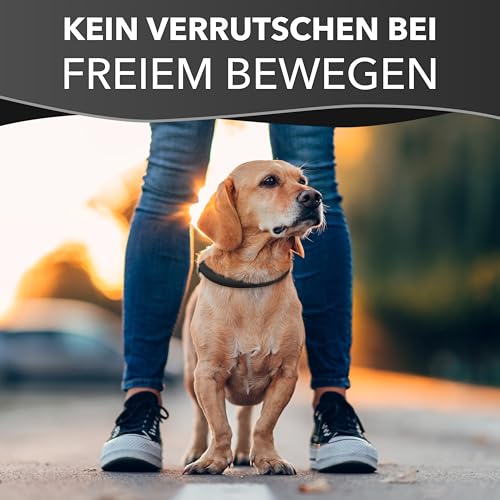 Rund & Weich - Zugstopp Hundehalsband Schwarz XL - 60cm Lederhalsband mit Zugbegrenzung und Verstellbarer Schnalle, Dressurhalsung, Zugstopper, robust, Rindsleder