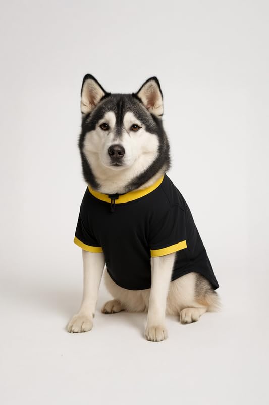 Image of Thunder Tails Cotton Dog T-Shirt for Lean Labrador, Golden Retriever, German Shepherd, Rottweiler, Husky & Chow Chow | Adjustable Comfortable Pet Wear for Large Dogs (Black, 4XL)