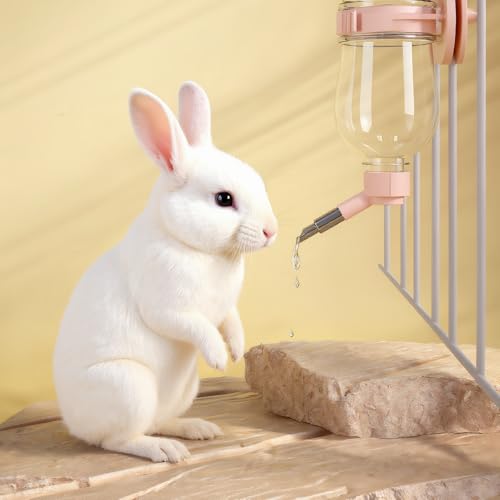 Bouteille d'eau pour petits animaux de 500ml transparent