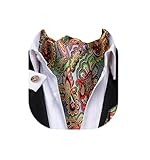Dubulle Mens Green Red Paisley Ascot Set Floral Colorful Silk Cravat for Men Pocket Square Cufflinks Formal...