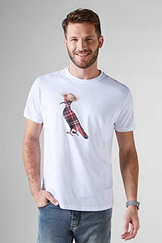 Camiseta Pica-pau Chápeu Junino