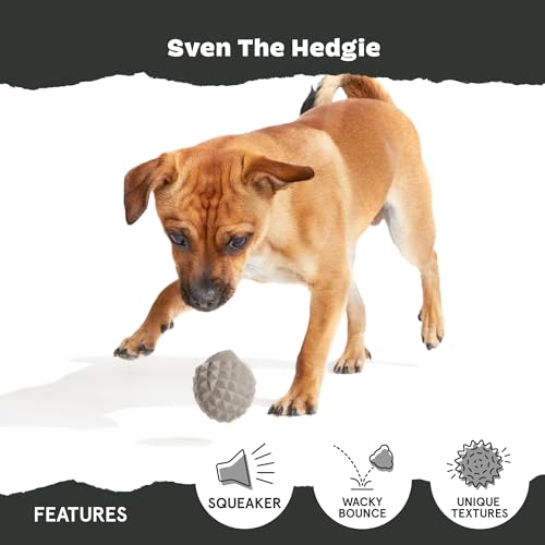 Image of BarkBox Sven the Hedgie Rubber Dog Toy - Toy for Small Dogs | Squeaky Natural Rubber Chew Toy with Soft Spike Textures | Durable