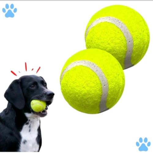 Kit 3 Bolas de Tenis Pet Treinamento Brincadeira Cachorro
