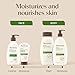 Aveeno Daily Moisturizing Body Wash for Dry & Sensitive Skin + Prebiotic Oat, Oat Body Wash & Gently Cleanses, Nourishes & Feels Hydrating on Dry Skin, Gentle & Light Fragrance, 18 fl oz