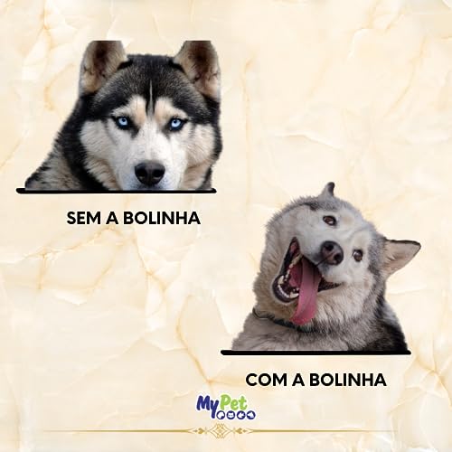 MY PET BRASIL - Brinquedo Para Cachorro, Bola Cravinho, Brinquedo Mordedor, Bolinha Para Cães,1 Unid