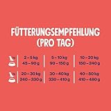 Pets Deli Classic Hunde Trockenfutter Rind & Süßkartoffel, leicht verdaulich, getreidefrei, ohne Zucker, 2 kg, Premium Qualität