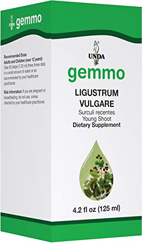 Privet Young Shoot Extract (Ligustrum vulgare)