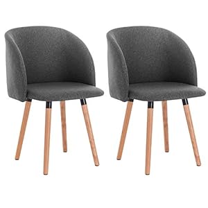 WOLTU #1216 Keuken Eetkamerstoelen Set van 2 stks Counter Lounge Leisure Woonkamer Hoek Stoelen Receptie Stoelen