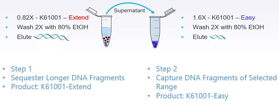 MagVigen Extended (Long Read) DNA Size Selection kit (5mL)