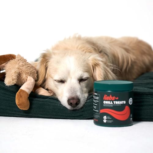 liebs Hunde Supplement Entspannung & Anti-Stress (1 x 300g) | Entspannungs Snack Hunde – Unterstützt Beruhigung - Stress & Angst | Beruhigende Chews für Hunde