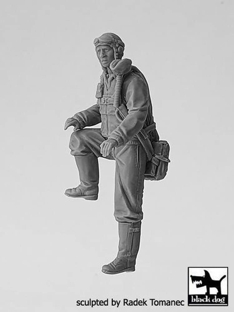 Amazon | BLACKDOG ブラックドッグ 1/32 アメリカ陸軍航空軍 戦闘機