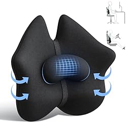 A-Pce Lumbar Support Cushion