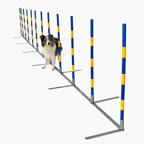 Callieway Agility Slalom 2by2 Flex - Eslalom (12 Barras de Entren...