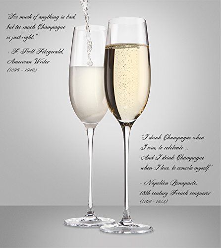 The Excelsior - 100% Lead-Free Handmade Crystal Champagne Flutes, Set Of 2 Glasses, 10-Ounce #TOP5