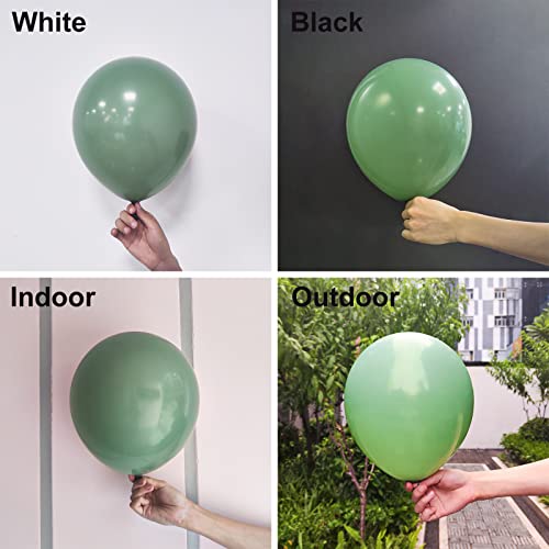 Bealif Sage Green Balloons - 30 Pcs Pack, 12 Inch Matte Latex Balloons for Boys & Girls Retro Green Jungle Theme Birthday Party & Wedding Decoration