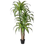 VeriNatural Artificial Dracaena Tree 5FT – Faux Yucca Floor Plant with Silk Leaves & Natural Trunk – Cement-Weighted Pot for Indoor Decor, Office, Living Room, Porch, Entryway, VN225
