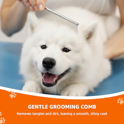 Image of Amazon Basics Dog & Cat Grooming Kit - 4-Piece Stainless Steel Set with Thinning Shear, Trimming Scissors, Curved Scissors & Grooming Comb - All-in-One Pet Grooming Set
