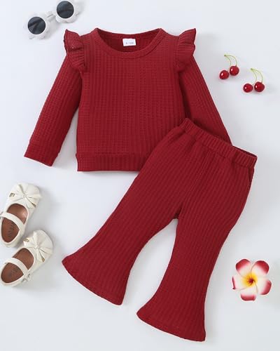Image of Weebaby Toddler Girl Clothes Infant Girl Sweatsuit Baby Pant Set Outfits Fall Winter Clothing Little Clothes for Girl