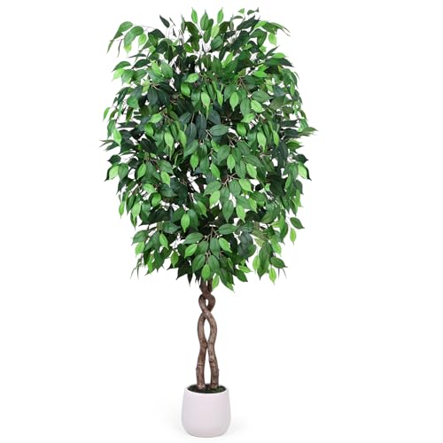 Jocoevol 6FT Artificial Ficus Tree, Tall Faux Trees Indoor with White Planter, Dried Moss, Natural...