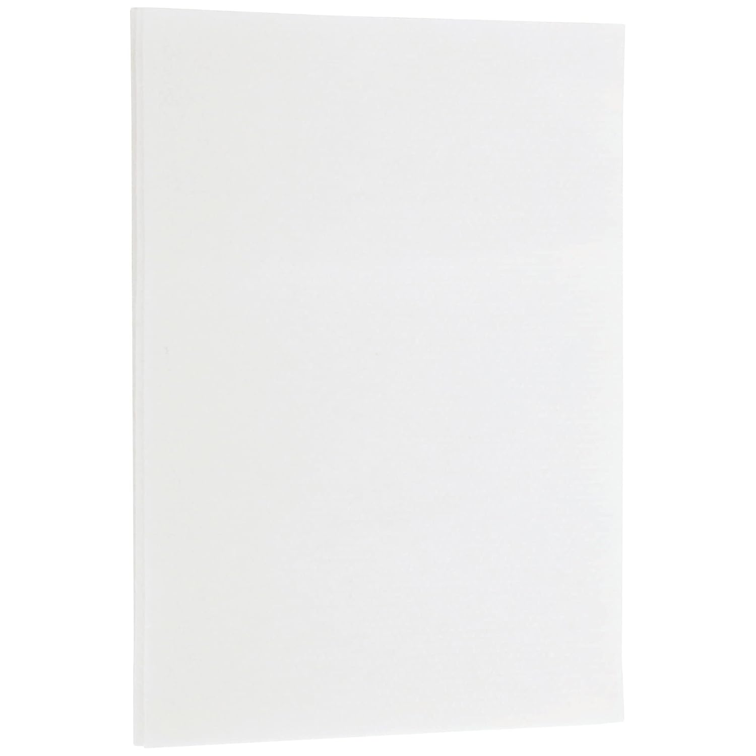 McKesson Multi-Purpose Dry Wipes - Disposable, Medium Duty, Non-Sterile - White, 9 in x 12 1/2 in, 48 Wipes, 16 Packs, 768 Total