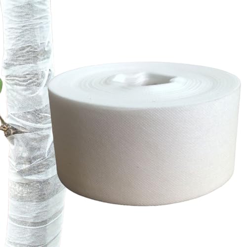 veN^[,60m sDz nΉ ~pbv -  - O뉀Őp