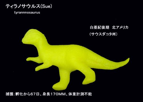 Amazon.co.jp: 恐竜のたまご 水に入れると育つ タマゴ : おもちゃ