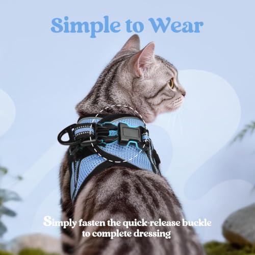 Image of rabbitgoo Cat Harness and Leash Set, Step-in Soft Vest, Light Blue | Escape Proof, Lightweight, Easy-on & Adjustable, Hook & Loop with Buckle, Reflective, for Small Cats Walks, L