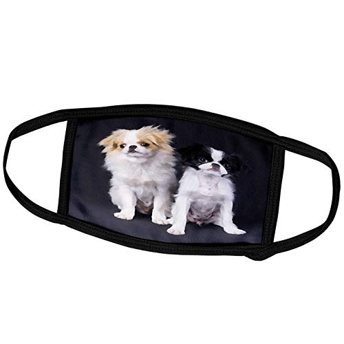 3dRose Japanese Chin - Face Mask, 6.7 by 4.3-inch (fm_4243_2)