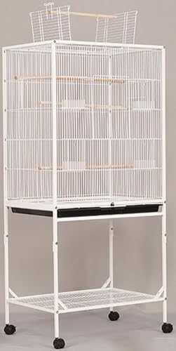  P[W ^ x ؃P[W 傫  CR gJS IJ ZLZC {^  LX^-t ȒPɈړł ȒP