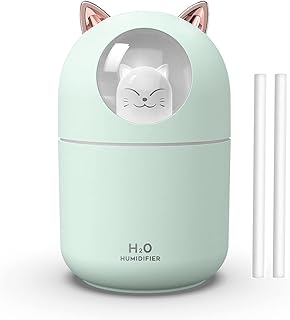 Portable Small Humidifier, 300ml Mini Cool Mist Humidifier with Night Light, USB Personal Humidifier Auto Shut-Off, Ultra-Quiet, 2 Spray Modes, Suitable for Home Office Travel(green)