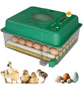 36 Incubator for Hatching Eggs with Auto Turning & Humidity Monitor (Home/Farm)