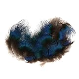 Parfait pour le nettoyage professionnel et les accessoires en plumes naturelles