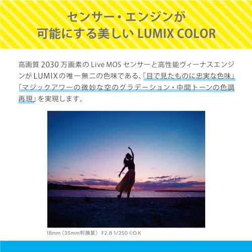 Panasonic Lumix S1H camera
