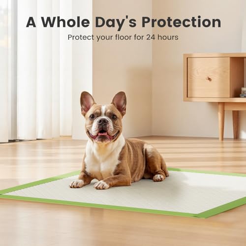 Image of Gardner Pet Dog Pee Pads Rugular 21.7 inchx21.7 inch, Thicker ECO Green Small Disposable Puppy Training Pads Super Absorbent Full Edge-Wrapping Pad for Dogs, Puppies, Doggies, Cats-(50 Count)