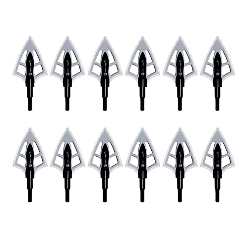12Pcs Stainless Steel 100 Grain Broadheads 2 Blades Hunting Tips for Crossbow Compound Bow Archery Hunting