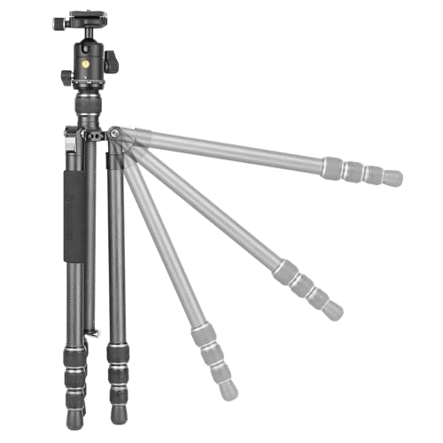 Image of Vanguard Vesta GO 264CB Carbon Fiber Travel Tripod with VEO BH-60 Ball Head