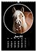 Crazy Horses (Wall Calendar 2026 DIN A3 High), CALVENDO Monthly Calendar: Horses from Their Funny Side
