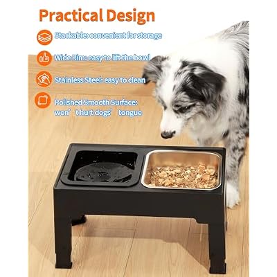 Stainless Steel Dog Bowls, [2 Pack] Water and Food Bowl Set, 1.6L Pet Metal Dishes for Small Medium Large Dogs