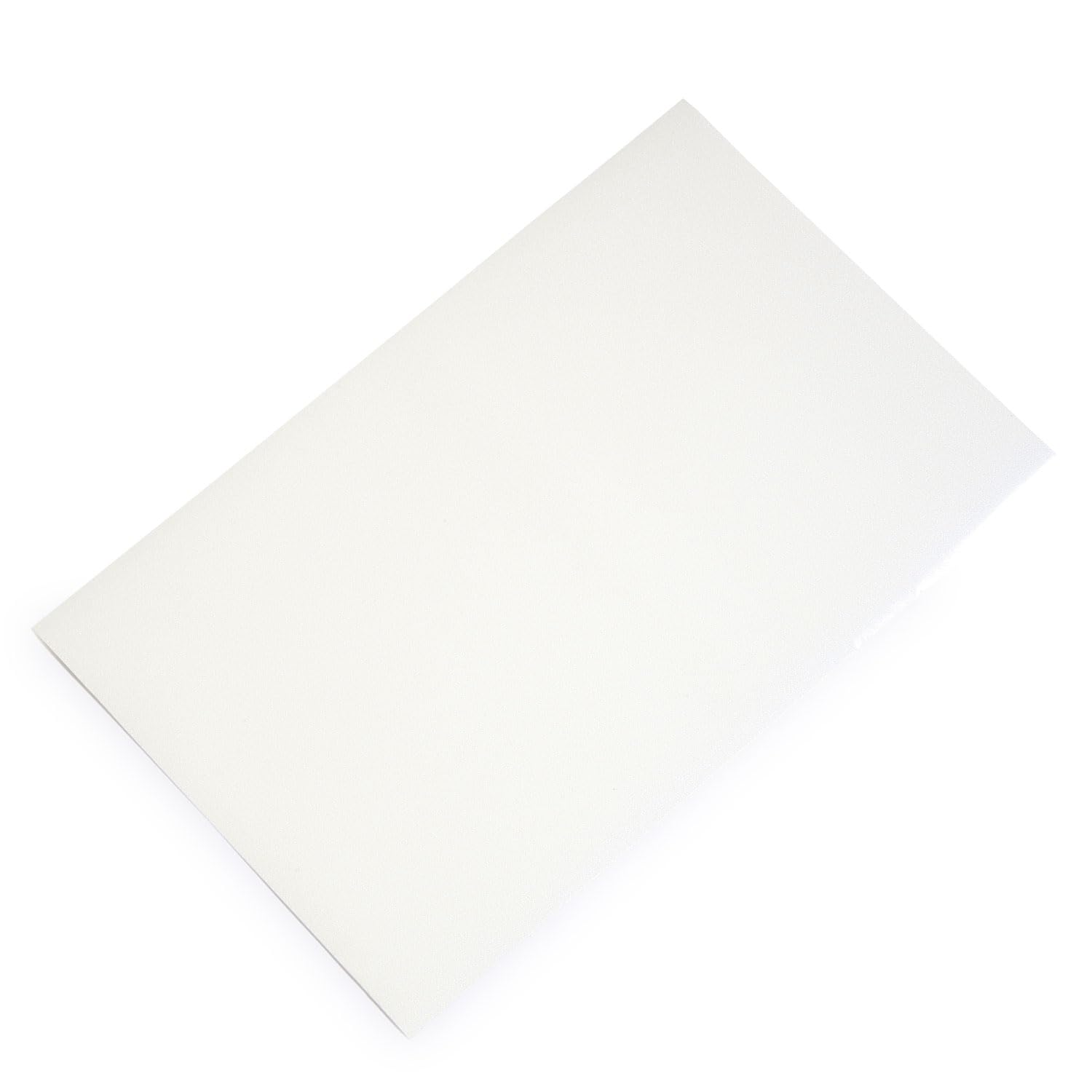 Amazon.co.jp: ラメグリッター ラメパウダーホワイト(ゴールドラメ混  