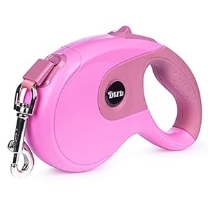 Hondenriem, Pejoye Hondenriem Intrekbare Uitschuifbare Heavy Duty Hondenriem Automatische Hondenlijn 5M Nylon Materiaal Grote Middelgrote Kleine Honden Voor Training, Wandelen, Joggen