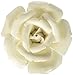 Cyan Design 09110 Blooming Parade Wall Decor