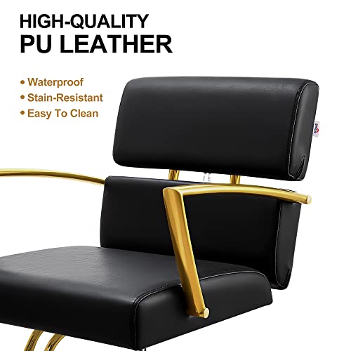 Baasha Salon Chair, Hydraulic Hair Chair With Open Back Designed, Black And Gold Salon Chair, Beauty Chair Equipment Salon Chair For Hair Stylist, Weight Capacity Up To 330 Lbs - Matte Gold #TOP3