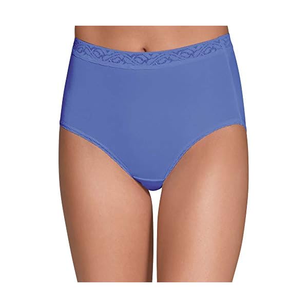 Fruit of the Loom Women's Underwear Nylon Brief Panties, Assorted, 2X-Large (9)