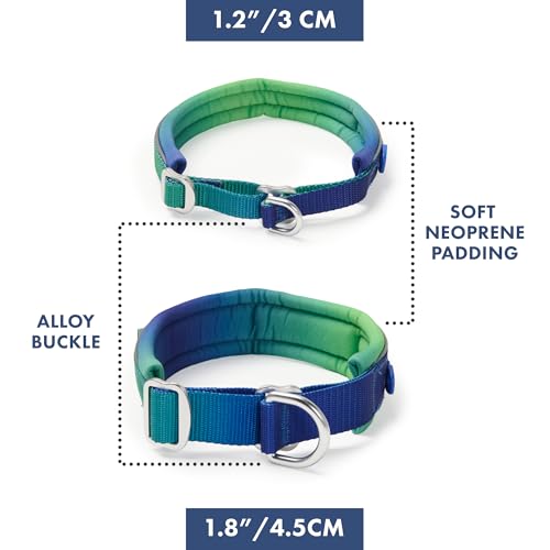 Spark Paws Martingale Dog Collar – Cushioned Slip-On Training Collar by Spark Paws - Used condition - Image 6