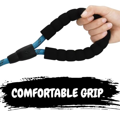 Image of PawPro Reflective Nylon Dog Collar - Custom Bone Tag with 5‑Foot Heavy‑Duty Leash - Soft Padded Handle, 360 Swivel Clip - Adjustable Pet Collar for Medium & Large Dogs (Frosted Blue, Collar+Leash)