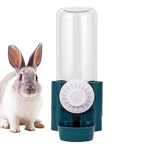 Honhoha Bird Water Dispenser – Parrot Water Dispenser Water Bird Feeder – Parrot Water Dispenser, Water Bird Feeder, Large Capacity Water Bottle Drinker for Hamster, Squirrel, Parrots, Guinea