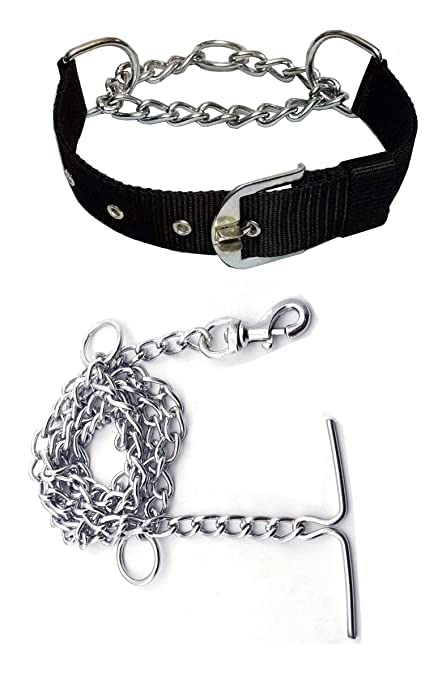 Pups&Pets Combo of Metal Chain Leash with Choke Collar Safety Metal Chain Gentle Choker Chew Proof Strong Nylon Adjustable Collar for All Bree Dog (Medium Size 3/4 Inch Chain Weight 350 gm, Black) (B0B554ZBXH) Amazon Price History, Amazon Price Tracker