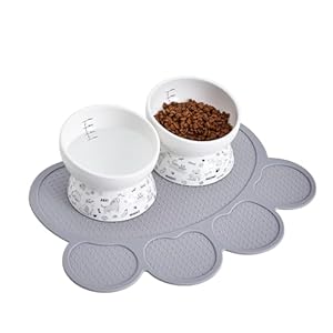 Howise WB268 Keramik Katzennapf-Set 2 Stück